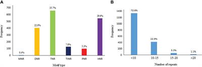 Occurrence of simple sequence repeats in cDNA sequences of safflower (Carthamus tinctorius) reveals the importance of SSR-containing genes for cell biology and dynamic response to environmental cues